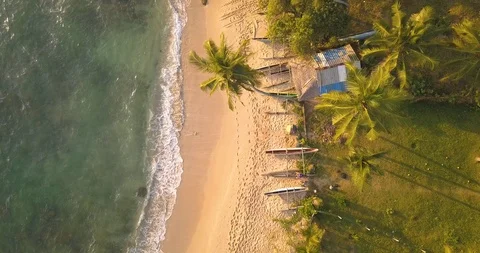 Romantic sunset on a tropical beach with palm trees. Sri Lanka, Drone footage Stock Footage 104639094