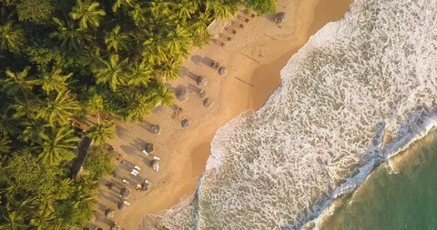 Romantic sunset on a tropical beach with palm trees. Sri Lanka, Drone footage Video stock 106030266