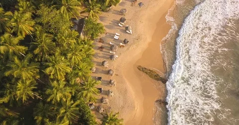 Romantic sunset on a tropical beach with palm trees. Sri Lanka, Drone footage 스톡 동영상 106035331