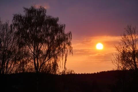 Romantic sunset with a weeping willow in the foreground Stock Photos