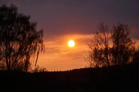 Romantic sunset with a weeping willow in the foreground Stock Photos