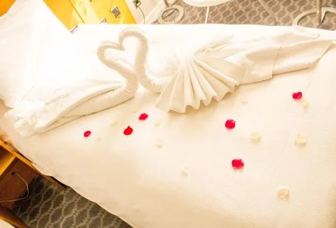 Romantic Swans Stock Photos