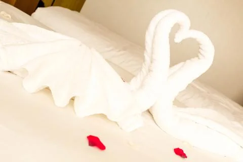 Romantic Swans Stock Photos