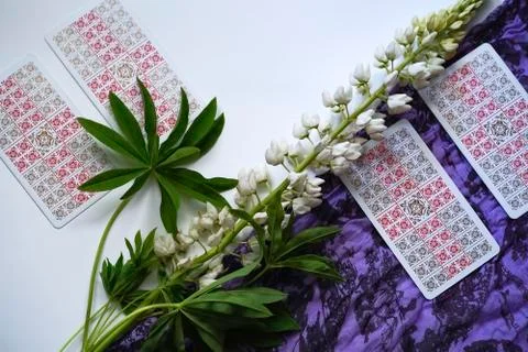 Romantic Tarot Setup Background. Tarot cards and Lupin flowers. Stock Photos