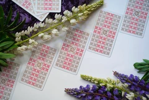 Romantic Tarot Setup Background. Tarot cards and Lupin flowers. Stock-Fotos