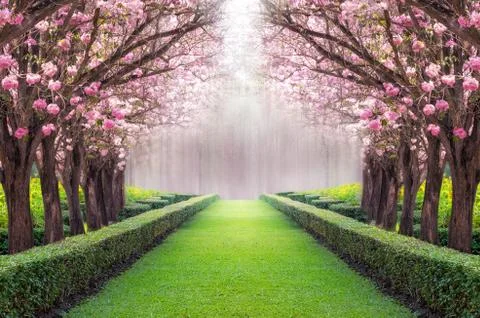 Romantic tunnel. Stock Photos