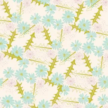 Romantic vector floral seamless pattern with blue chicory flowers. Illustrazione stock