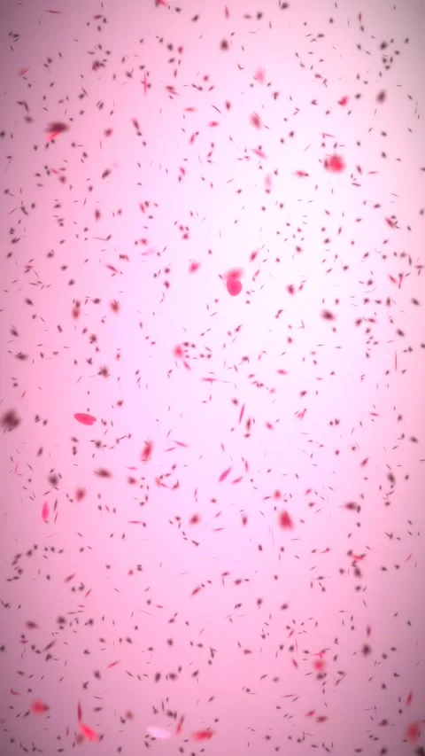 Romantic vertical pink video background  with gently falling pink hearts Stock Footage 346020694