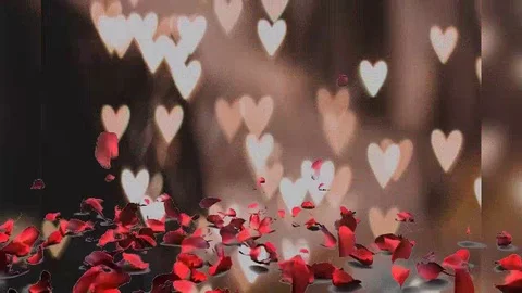 Romantic video effects 2 Stock Footage 120988043