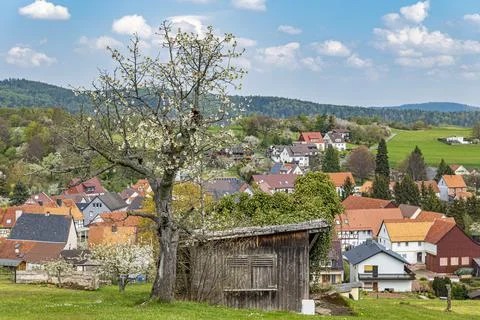 Romantic view of a blossoming cherry tree with old sheds, Stock Photos