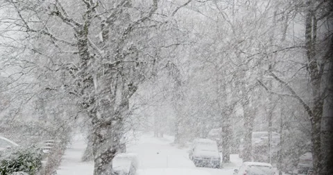 Romantic view of snowfall against the backdrop of bare trees and parked cars Stock Footage 147396901