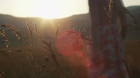 Romantic view at sunset time, golden light Stock Footage 53280736
