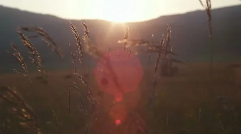 Romantic view at sunset time, golden light Stock Footage 53660396