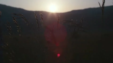 Romantic view at sunset time, golden light Stock Footage 53660918