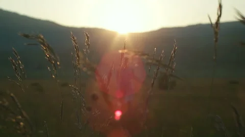 Romantic view at sunset time, golden light Stock Footage 53677690