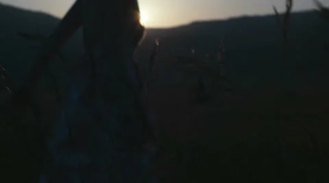 Romantic view at sunset time, golden light 스톡 동영상 53695486