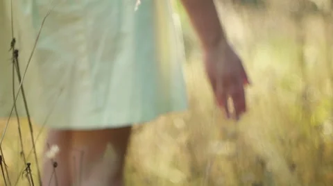 Romantic view at sunset time, golden light, slow motion Video stock 53732674