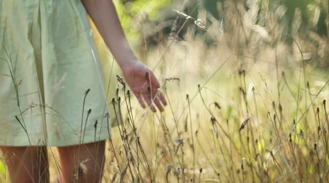 Romantic view at sunset time, golden light Stock Footage 53735357