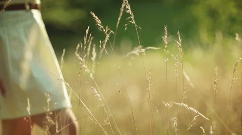 Romantic view at sunset time, golden light Stock Footage 53740431