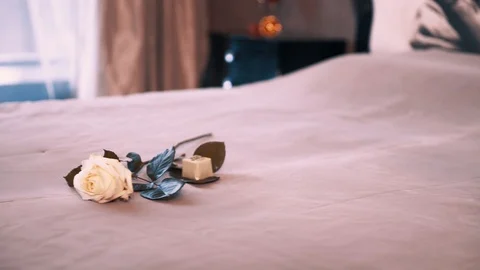 Romantic view with white rose on bed and chocolate Video stock 99996389