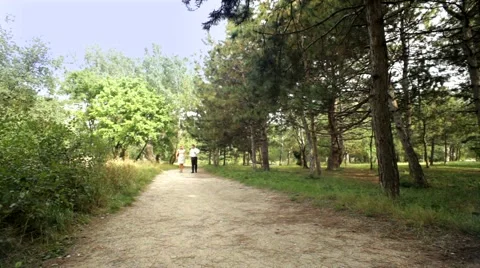Romantic Walk In The Park Video stock 52725662