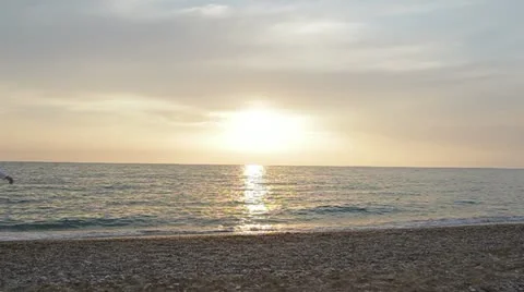 Romantic Walking Stock-Footage 22423589