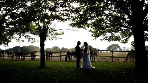 Romantic Wedding Couple on a Farm, second shot Stock-Footage 96695069