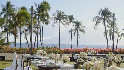Romantic wedding tables ready for guests among tropical nature of resort hyatt Stock Footage 101116834