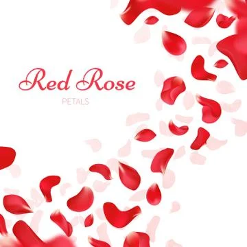 Romantic wedding vector background with falling red rose petals Illustration