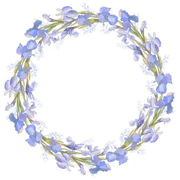 Romantic wreath awith irises. Vector hand drawn illustration for design gift  Stock Illustration
