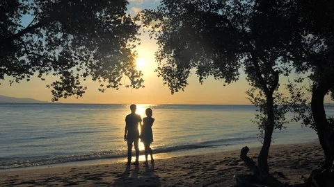 Romantic young couple Stock Footage 103084285