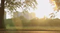 Romantic young woman walking in sun rays, looking for inspiration in the park HD Footage