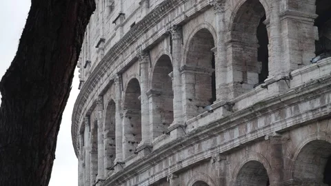 Rome coliseum arches Stock Footage 302559415