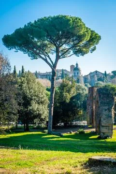 Rome in December Foto stock