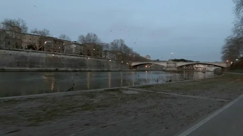 Rome Moving view along Tiber River with flying seagulls Stock Footage 104402050