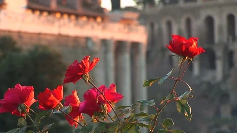 Rome, remains of the Imperial Forums Stock Footage 72956864