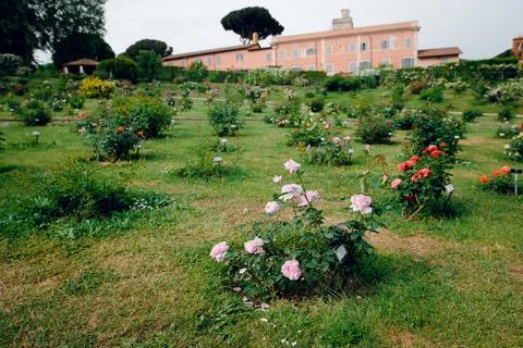 Rome Rose Garden Landscape Stock Photos