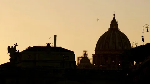 Rome Saint Peter Dome seen from far at twilight with birds in the sky Stock Footage 103628934