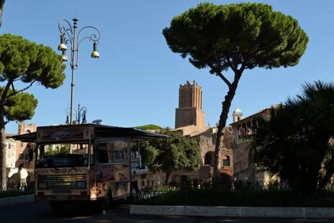 Rome tree Stock Photos