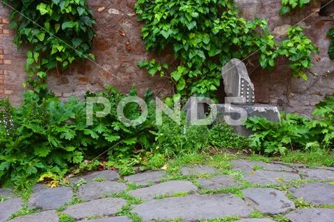 Rome, view and details of the archaeological area of the Roman Forum Stock Photos