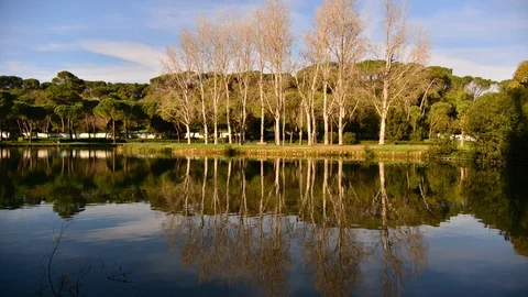 ROME, VILLA ADA'S LAKE 動画素材 86697409
