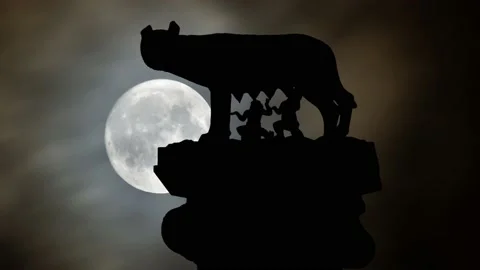 Rome Wolf in Silhouette, Time Lapse by Night with Full Moon Stock Footage 155557763