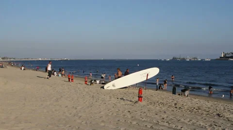 A Romp at the Beach Stock Footage 29613076