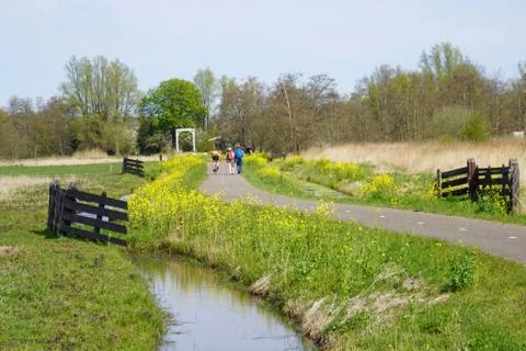 Rondje Naardermeer 059 Stock Photos