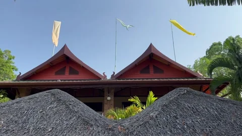 ROODTOP IN PARADISE Video stock 260480149