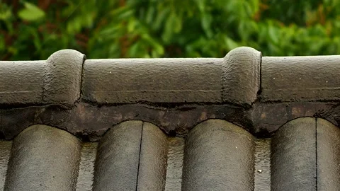 Roof and trees while storming , country side  Chiangmai Thailand. Stock Footage 239387701