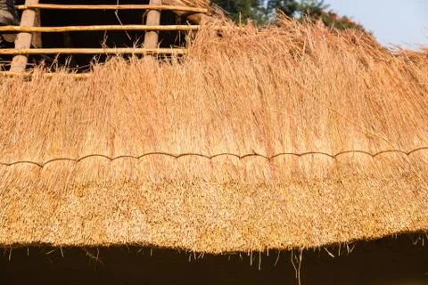 Roof Grass Thatching Construction Stock Photos