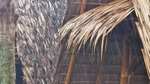 The roof of a hut Stock Footage 310037546