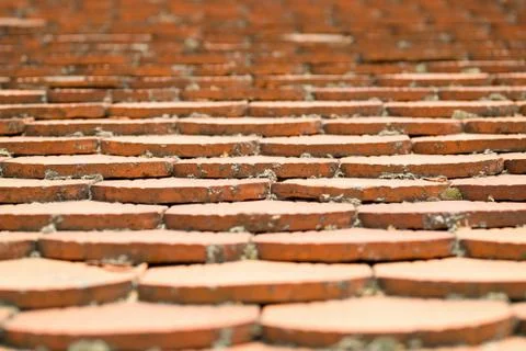 Roof Illustrazione stock