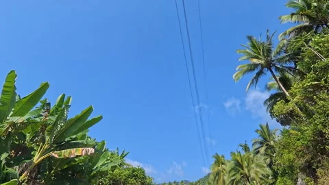 Roof Mount Camera Mountain Drive Lush Trees Sky Clouds Stock Footage 338206784